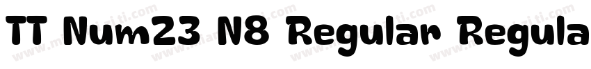 TT Num23 N8 Regular Regular字体转换
